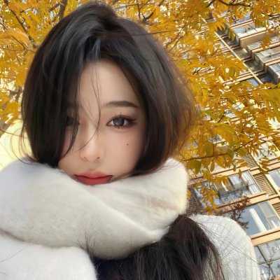 刀剑神域 进击篇 无星之夜的咏叹调